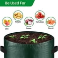 thumbnail image 2 of 10 Gallon 3-Pack Potato Grow Bags,Heavy Duty PE Fabric Pots with Flap and Handles,Green Planter Bags for Potato Vegetables Outdoor Garden,Large for All Plants Growing, 2 of 7