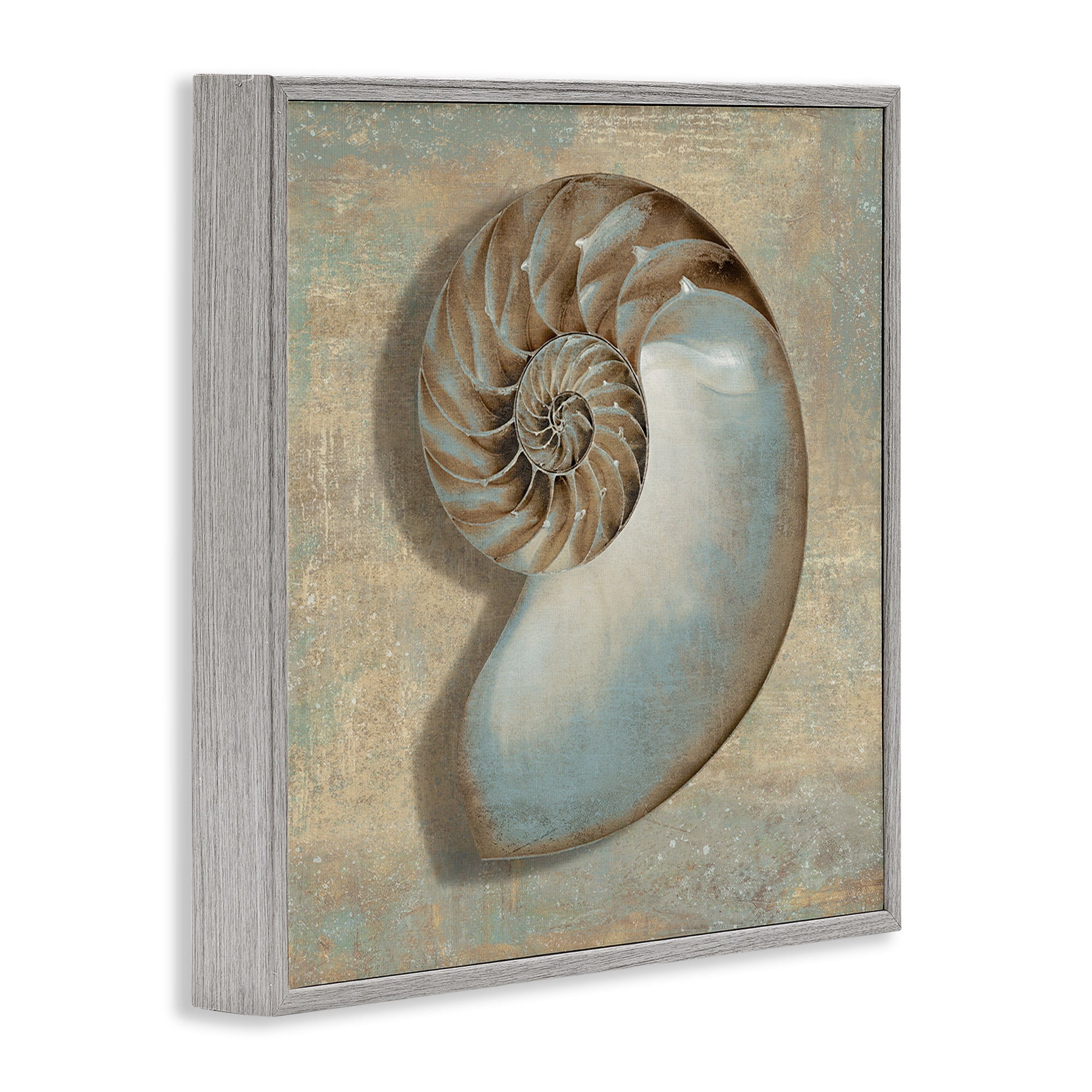 Stupell Industries Shell Beach Objects Design Nature Painting Gray Framed Art Print Wall Art, 24 x 24