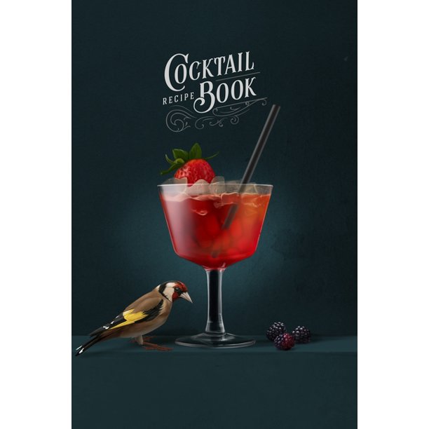 Cocktail Recipe Book Mixologist Gift Cocktail Recipe Organizer for