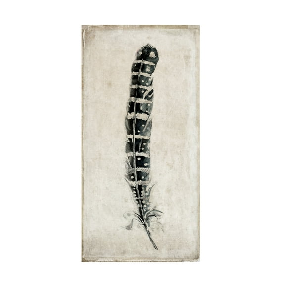 Symposium Design 'Feather 4' Canvas Art