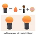 thumbnail image 7 of Bueautybox Round Head Small Mushroom Puff Beauty Makeup Tool Wet and Dry Mushroom Head Shape Blender Foundation Contour Base Powder Puff Makeup Tool, 7 of 7