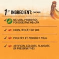 thumbnail image 4 of Beyond Grain Free Farm-Raised Chicken & Egg Recipe, Dry Dog Food 4.5KG, 4 of 7