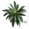 thumbnail image 2 of Helechos grandes de 50 cm para jardines familiares, interiores y exteriores, y espacios verdes colgantes al aire libre, 2 of 6