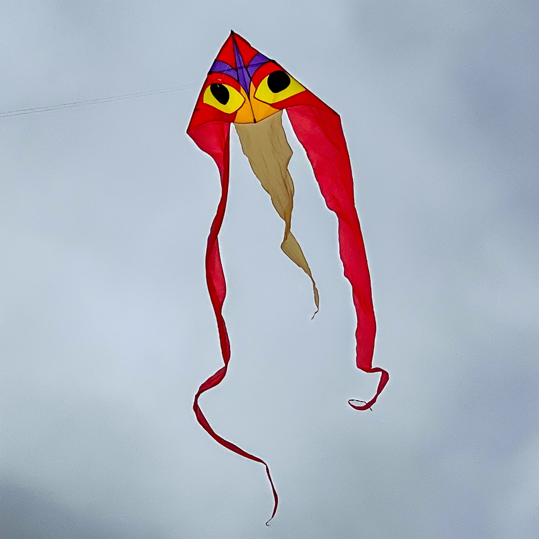 In the Breeze 3152 — Ibis Wave Delta Kite, 52-Inch — Easy Flying Single-Line Kite for Kids and Adults