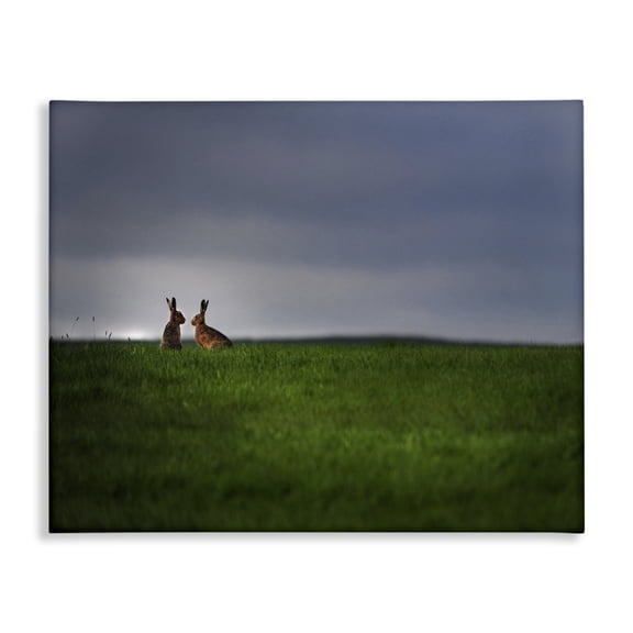 Stupell Industries Farmhouse Bunny Couple Family Animal Landscape Photo Canvas Art, 20 x 16, by Villager Jim