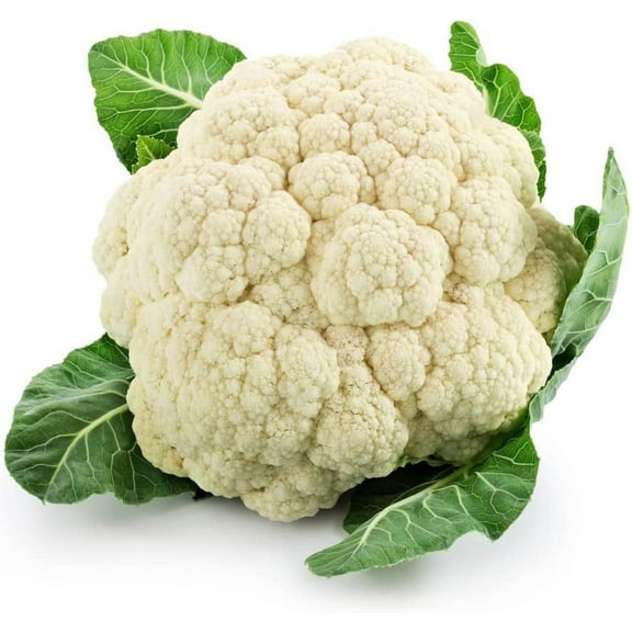 Snowball Cauliflower Seeds for Planting | 100 Seeds | Easy to Grow Garden Vegetable