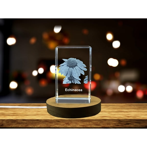 Stunning 3D Engraved Echinacea Plants Crystal Décor Piece