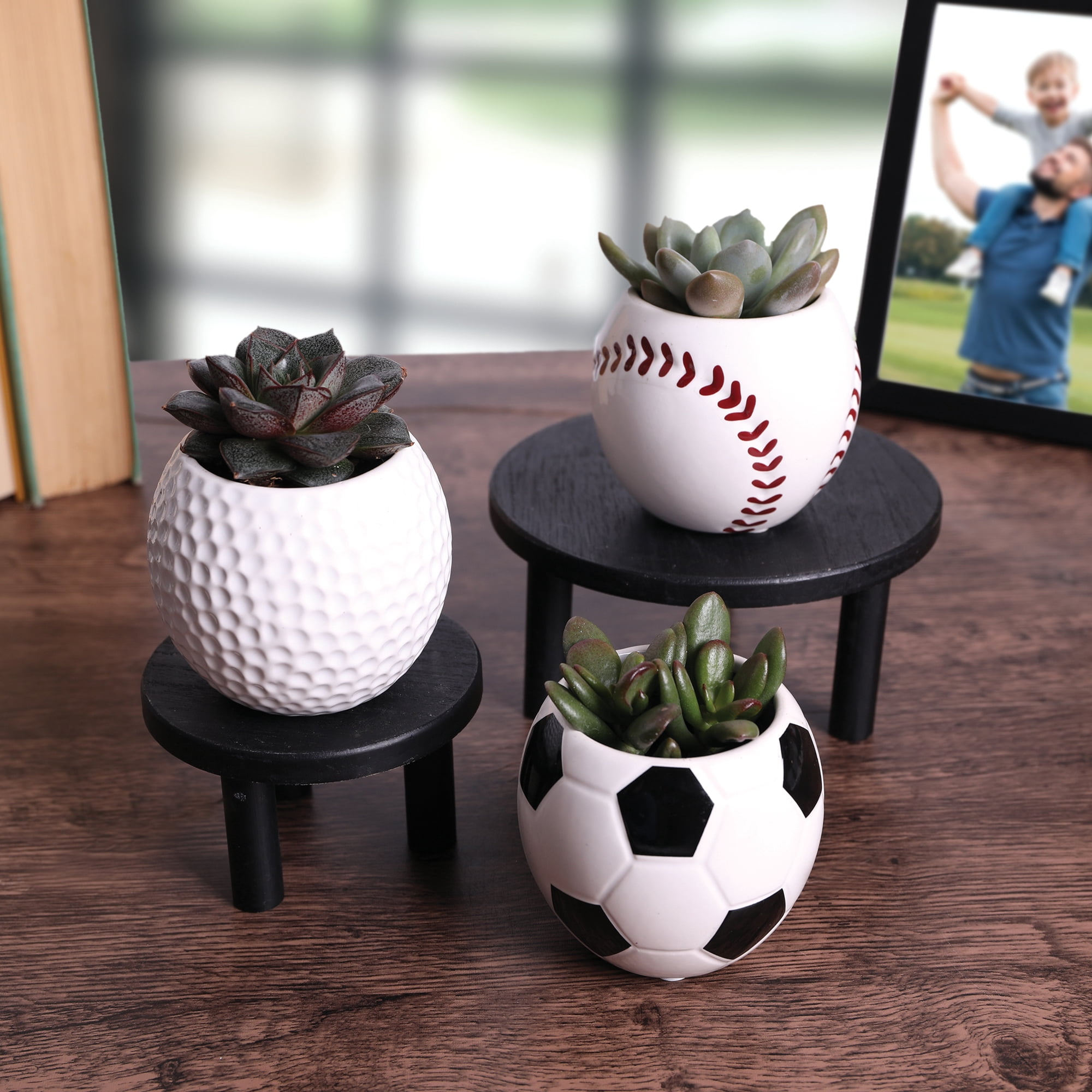 Green Circle Growers 2.5in Echeveria Succulent 3-Pack in Ceramic Pots