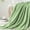 Apple Green, variant on Fleece Throw Blanket for Couch – 3D Ribbed Jacquard Soft Warm Cozy Plush Lightweight Moss Throw Blanket for Bed Sofa 50x60 inches