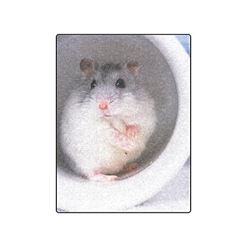 CADecor Hamsters in a Glass Blankets Throws Blanket Indoor Outdoor