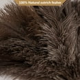 thumbnail image 3 of Ostrich Feather Duster, 16 inch Ostrich Feather Duster with Wood Handle Reusable, Fluffy Natural Genuine Handheld Feather Duster for Cleaning Supplies, Home, Car, Office, 3 of 4