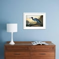 thumbnail image 5 of Audubon: Little Blue Heron, Framed Art Print Wall Art by John James Audubon Sold by Art.Com, 5 of 6