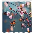 thumbnail image 3 of Ambesonne Nature Shower Curtain, Blooming Sakura Flowers, 69"Wx70"L, Pale Pink Orange, 3 of 3