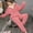 Pink, variant on Uqiangy Plus Size Pjs for Women 3x 2 Piece Sets for Women Long Sleeve Pajamas Travel Outfits for Women Two Piece Fall Set Long Sleeve Pajamas for Women Beige L