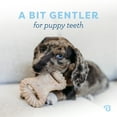 thumbnail image 5 of Benebone Puppy 2-Pack Dental Chew/Wishbone Dog Chew Toys, Real Bacon Flavor, 5 of 10