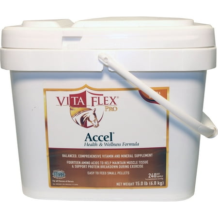 UPC 758900000100 product image for ACCEL HEALTH AND WELLNESS PRO 160 DAY | upcitemdb.com