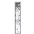 thumbnail image 2 of ArtToFrames 6" x 40" Stainless Steel Picture Frame, 6x40 inch Silver MDF Poster Frame (WOM-5313),  Pack, 2 of 8