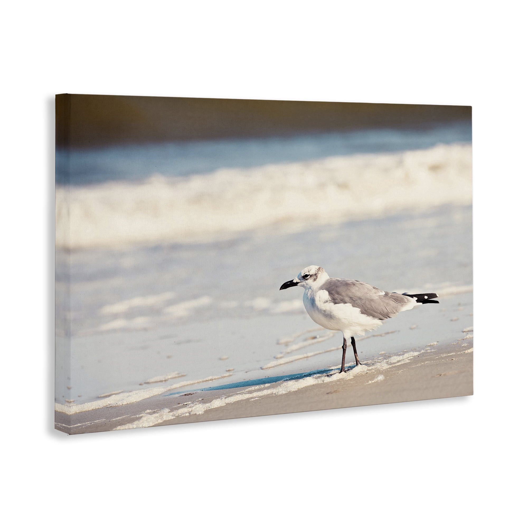 Stupell Industries Seagull Stepping on Shore Coastal Photography Gallery Wrapped Canvas Art Print Wall Art, 45 x 30