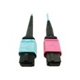 thumbnail image 3 of Eaton Tripp Lite Series 400G Multimode 50/125 OM4 Plenum Fiber Optic Cable, 24F MTP/MPO-UPC to 16F MTP/MPO-UPC (F/F), Aqua, 3 m - Network cable - MTP/MPO/UPC multi-mode (F) to MTP/MPO/UPC multi-mode (F) - 3 m - fiber optic - 50 / 125 micron - OM4 - plenum - black, magenta, aqua, 3 of 5