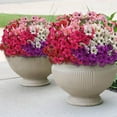 thumbnail image 5 of 10 Bundles Artificial Flowers for Outdoors, UV Resistant Fake Flowers with Plastic Plants, Faux Silk Flowers for Outside Window Box Front Porch Hanging Planter Decor-Purple, 5 of 5