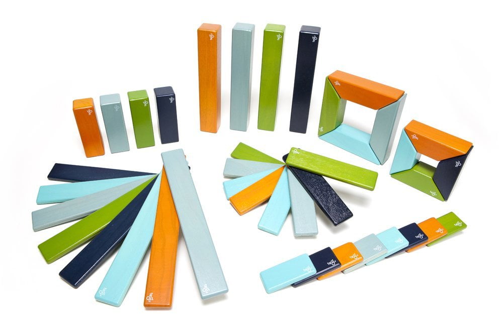 tegu 40 piece set