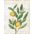 thumbnail image 3 of Schlabach, Sue 12x14 Black Modern Framed Museum Art Print Titled - Classic Citrus V Shiplap, 3 of 5