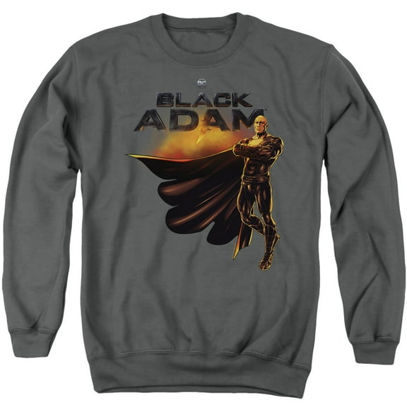 Black Adam, Logo With Character Unisex Adult Crewneck Sweatshirt