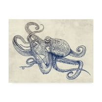 Trademark Fine Art 'Octoflow' Canvas Art by Rachel Caldwel