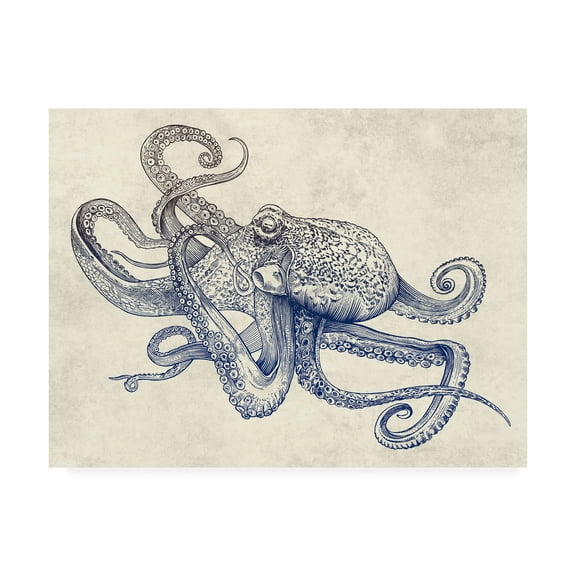 Trademark Fine Art 'Octoflow' Canvas Art by Rachel Caldwel