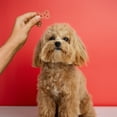 thumbnail image 5 of Vibrant Life Crunchy Valentine's Day Biscuit Treat for Dogs, Peanut Butter, 8.47 oz Net Weight Each Pack, 5 of 5