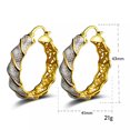 thumbnail image 4 of EOEMY New Arrival 24K Yellow Gold Plated Fashion Circles Women'S Dangle Hoop Earrings, 4 of 9