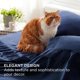 thumbnail image 4 of Queen Sheet Set - 4 Pieces Soft Queen Size Sheets - Breathable & Cooling - Hotel Luxury - Easy Care Polyester Microfiber Bedding for Women, Men, Dark Grey, 4 of 5