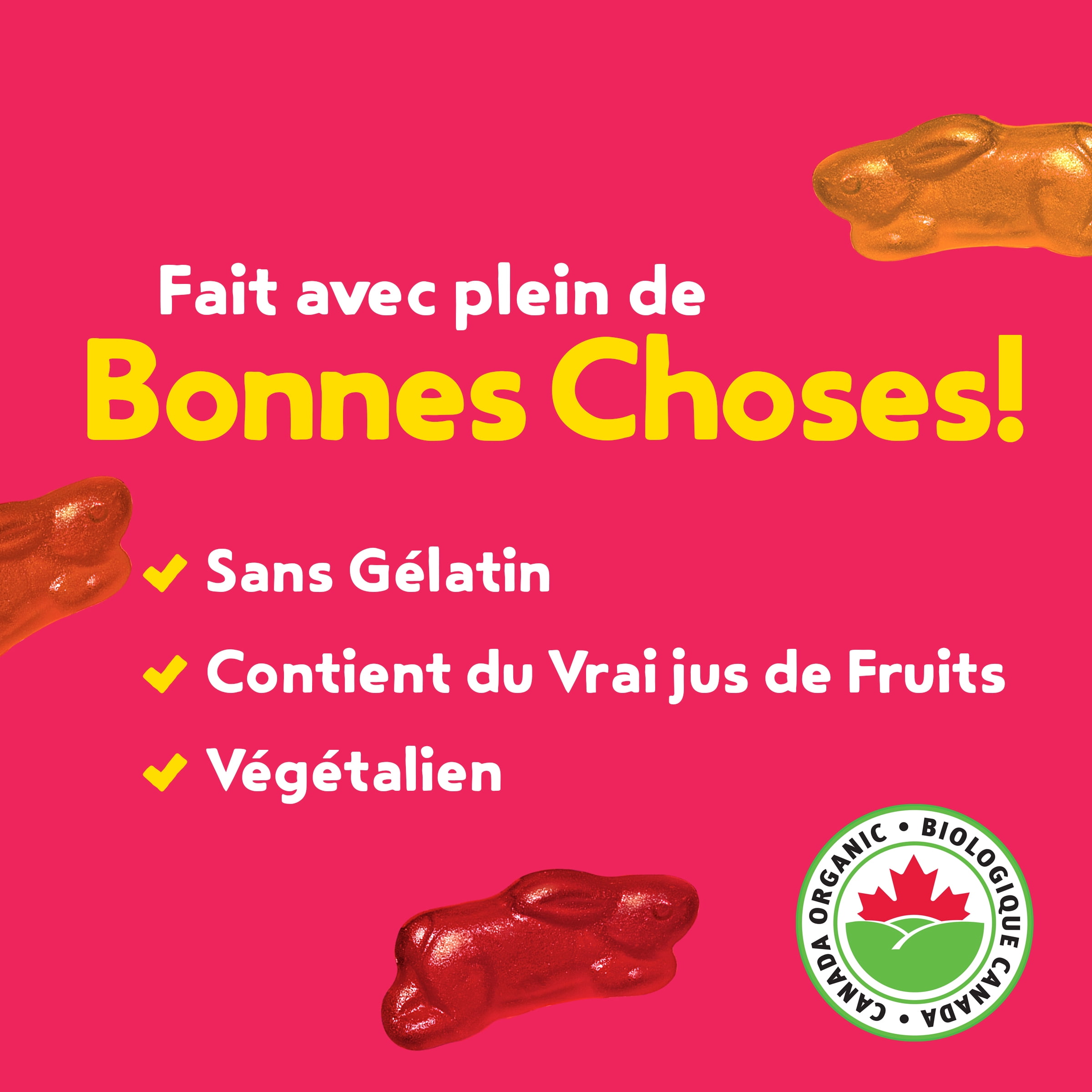 Annie's Biologique Bunny Fruit Collations aromatisées Fraises d'été, 198 g 10 sachets, 198 g