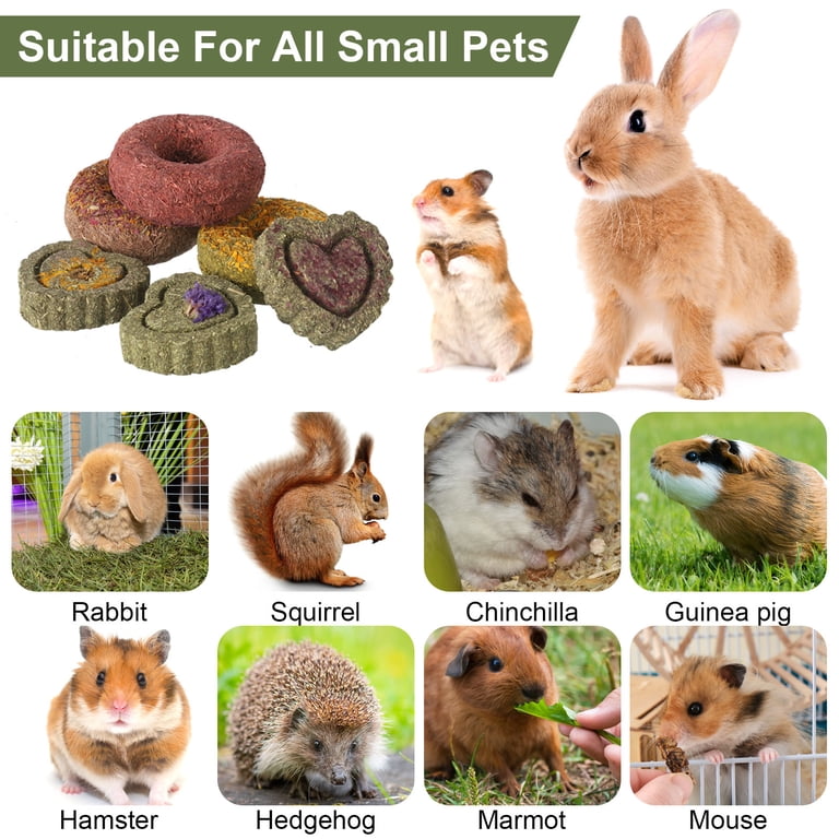 Qweryboo Natural Timothy Hay Chew Toys, 16-Piece Set photo 2