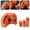 Orange, variant on Clearance Hardware grinding head under $5,Drill Bit Sharpener Drill Bit Sharpener For All Bits Multipurpose Drill Bit Grinding Sharpener For High Speed Steel Masonry Carbide Cobalt & Tin Coated