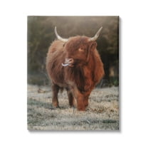 Stupell Highland Cattle Farmhouse Country Animal Animals & Insects Photography Gallery Wrapped Canvas Print Wall Art