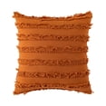 thumbnail image 2 of Funda de almohada con borlas | Estuche de cojín moderno de color sólido | Manta de sofá decorativa para exteriores resistente a la intemperie | Funda de respaldo extraíble Easy Care | 18x18 pulgadas, 2 of 5