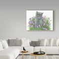 thumbnail image 3 of Trademark Fine Art 'Gray Cat In Flowers' Canvas Art by Francien Van Westering, 3 of 3