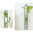 thumbnail image 3 of Matsuzay Maceta para colgar en la pared, macetas de propagación de terrario, tubo de ensayo de vidrio, jarrones hidropónicos, decoración del hogar para Decoración del hogar METRO Matsuzay HA024631-03, 3 of 6