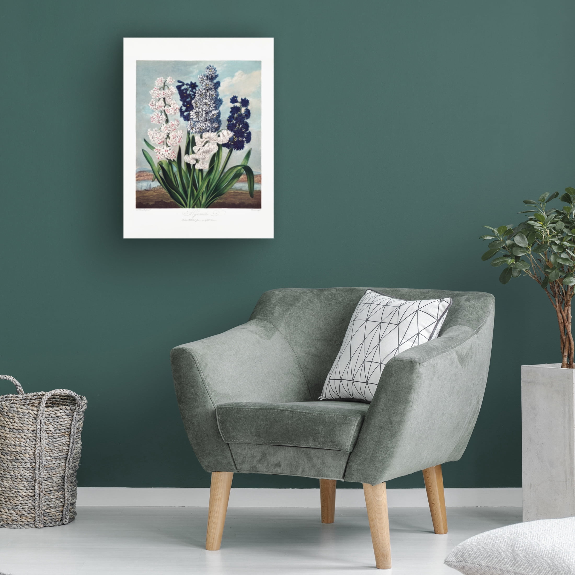 Trademark Fine Art Pictufy  Hyacinths from The Temple of Flora 1807 Canvas Wall Art
