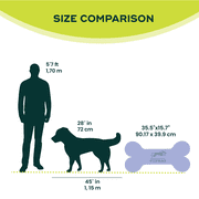 FitPAWS® K9FITbone® - Giant | Dog Balance Training Platform & Exercise Equipment | Workout Tool for Strength, Core & Stability - Sky Blue