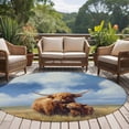 thumbnail image 3 of Highland Cow 8FT Round Area Rugs for Living Room Rustic Art Calf in A Lush Farmhouse Grassland Ultra-Thin Non-Slip Round Rugs Machine Washable Low Pile Circle Carpet for Bedroom Kitchen Nursery, 3 of 9
