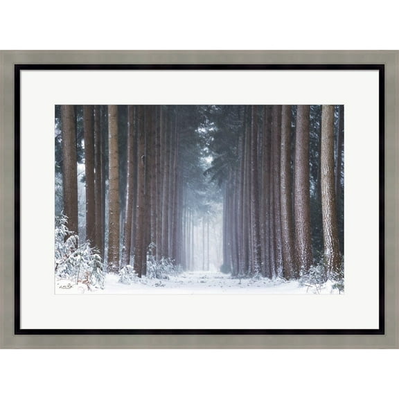 Great Art Now Polar Winter by Martin Podt, Framed Wall Art, 27W x 20.5H