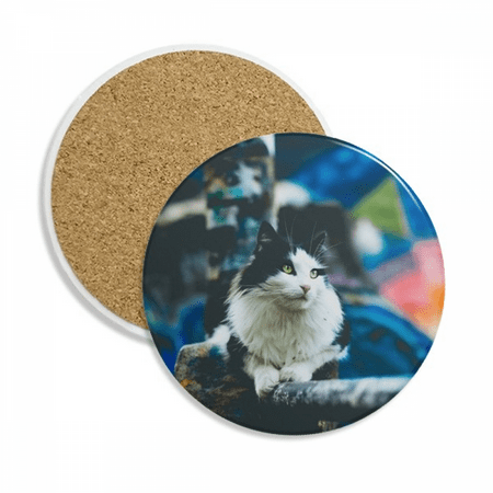

Animal Lazy Cat Photograph Shoot Coaster Cup Mug Tabletop Protection Absorbent Stone
