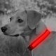 thumbnail image 3 of Collar Para Perro/Gato Con Luz Led Recargable G 53-60Cm Rojo The Small Moment Night Walks, 3 of 3