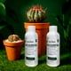 thumbnail image 4 of Enraizante Concentrado para cactáceas y suculentas The Real Green, 4 of 9