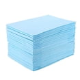 thumbnail image 3 of Platinum Care Pads Disposable Underpads Size 17"x24" 22 Gram 300 Case (3 bags of 100), 3 of 6