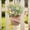 B, variant on Door Hanging Basket Easter Egg Wreath, Cute Playful Spring Decor for Porch Wall Fireplace, Reusable Outdoor Hanging Decoration, Festive Easter Home Decoration for Parties and Daily Use-A