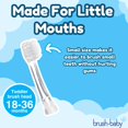 thumbnail image 3 of Cabezales de cepillo de repuesto Brush-Baby BabySonic de 18 a 36 meses, 3 of 7