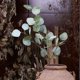 thumbnail image 5 of 6 uds hojas artificiales de eucalipto de dólar de plata plantas largas verdes ramas de plástico falsas arbustos verdes, 5 of 5